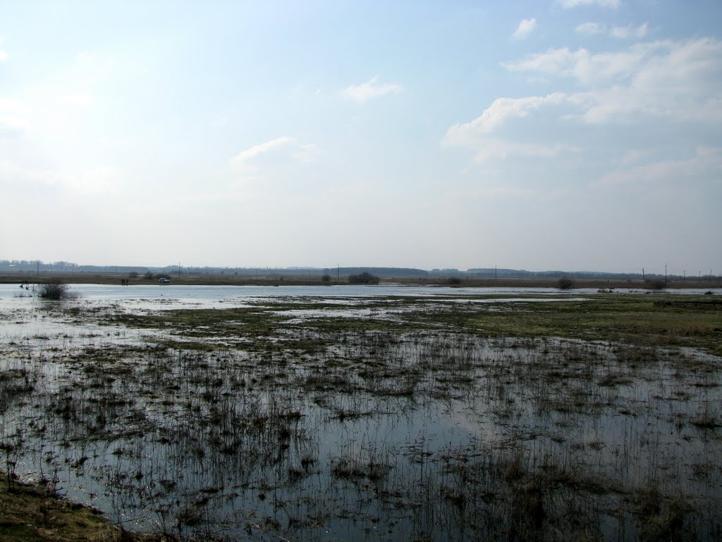 Njoman river in spring 2010