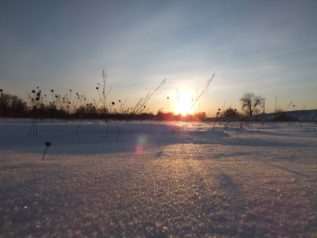 Winter