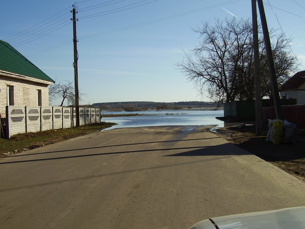 река Нёман разлилась