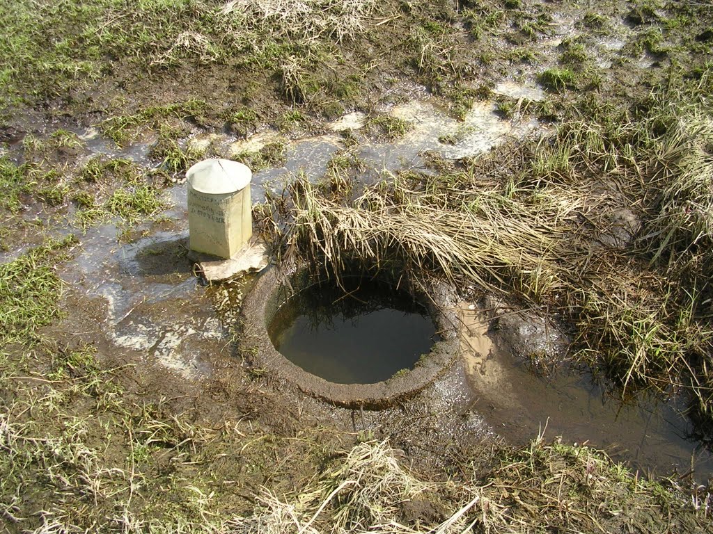 Крыніца
