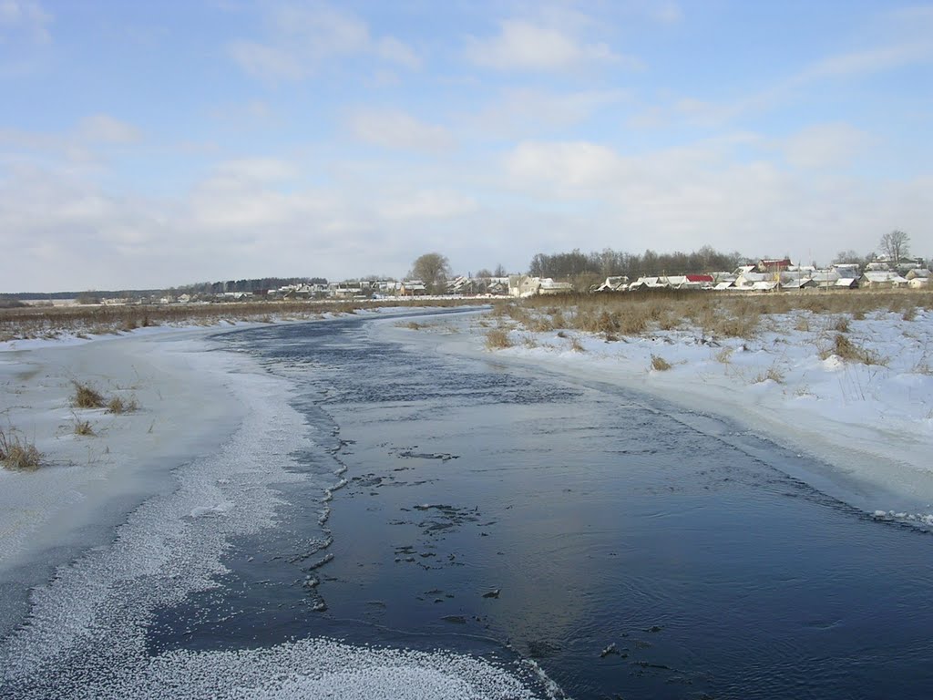 Рака