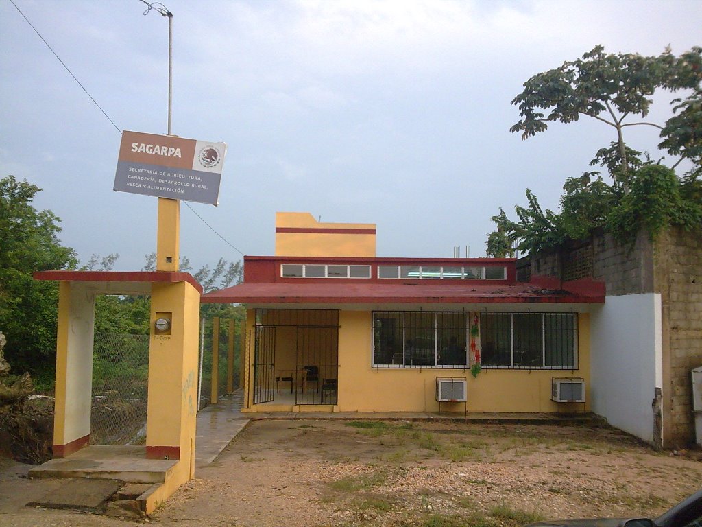 SAGARPA (Oficina Acayucan)