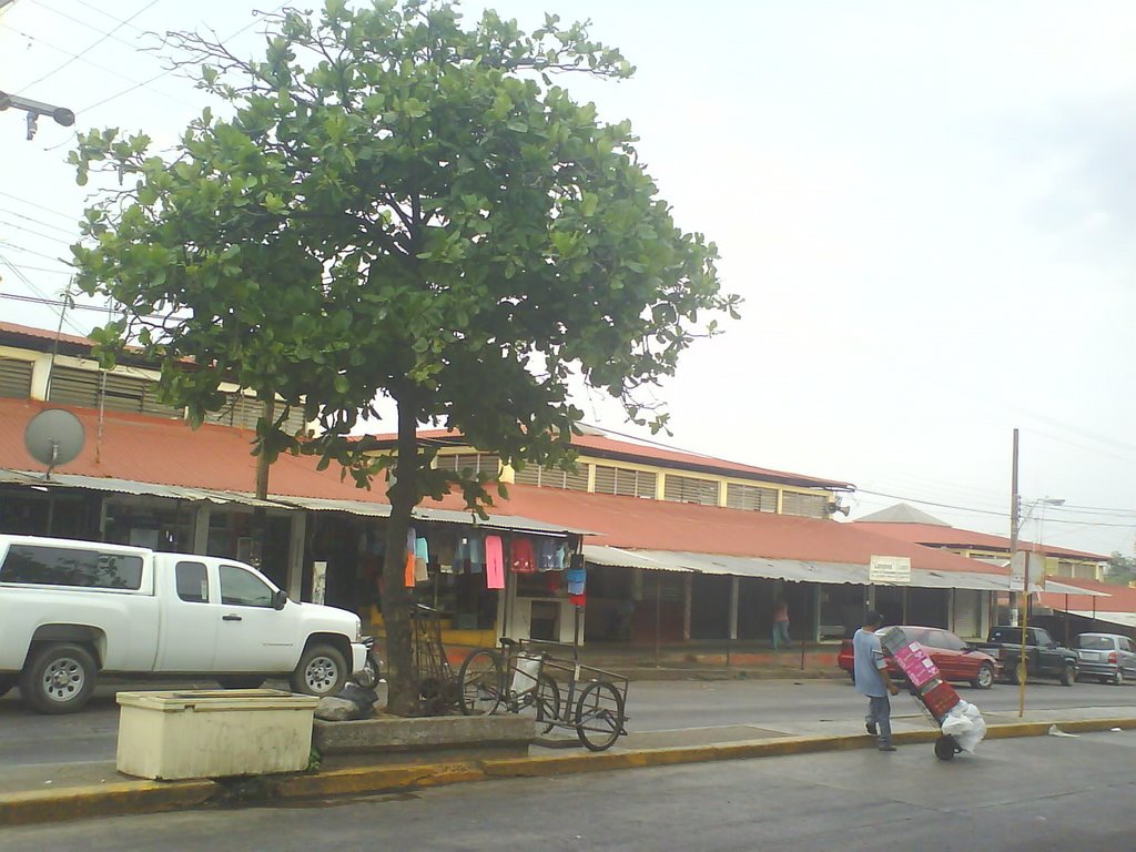Mercado Vicente Obregon