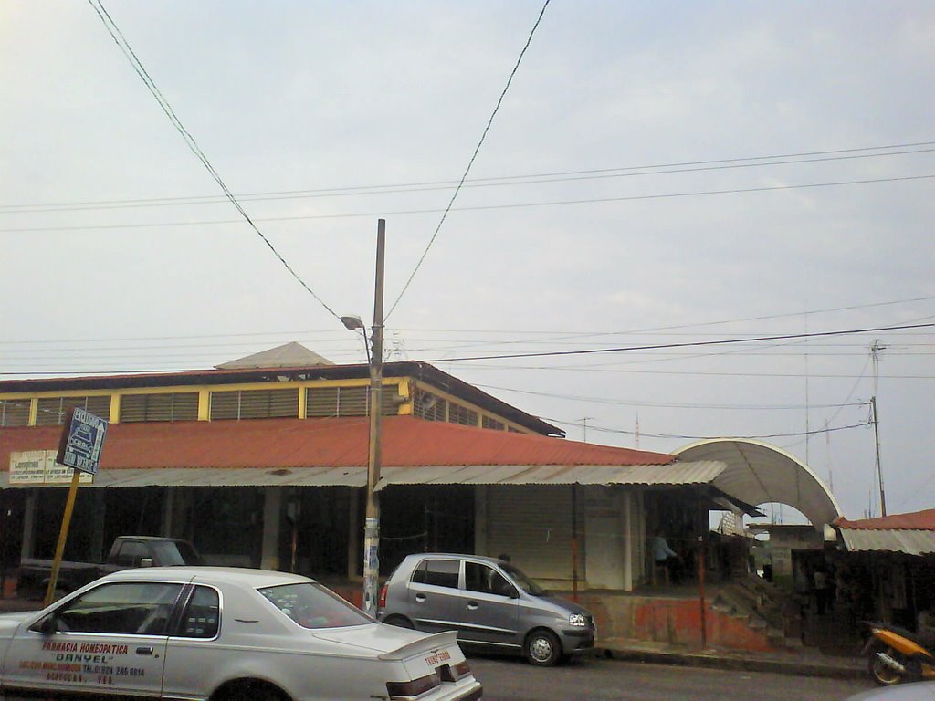 Mercado Vicente Obregon (2)
