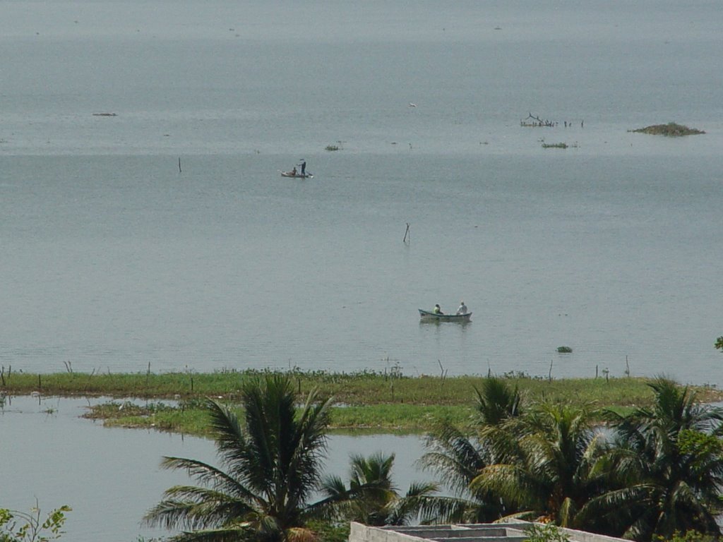 Pesca en la laguna