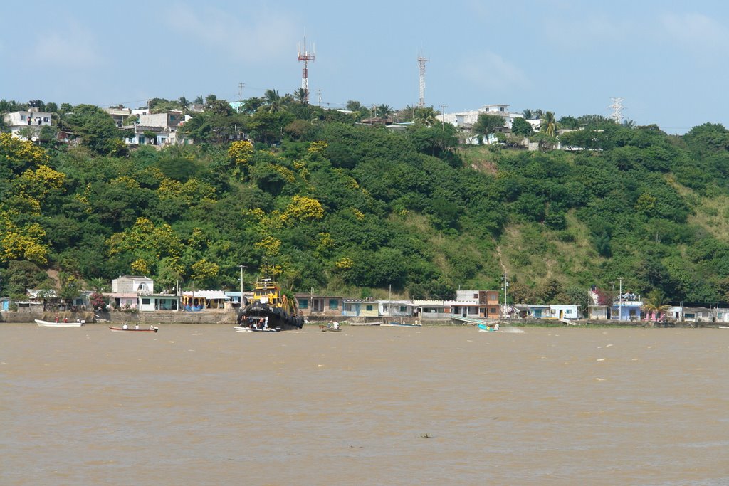 Panorámica 7