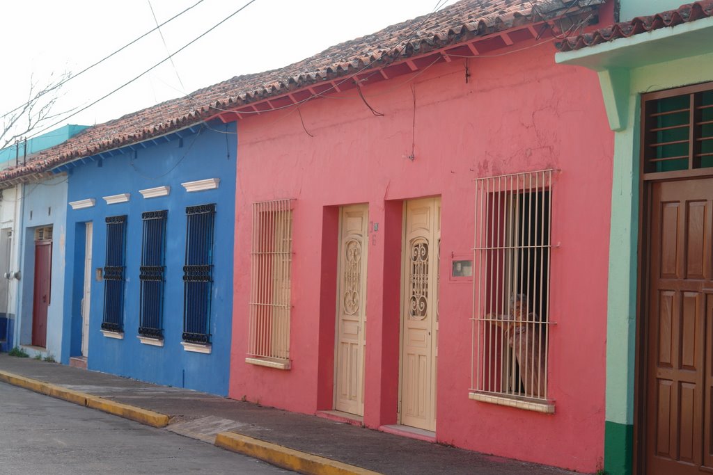 Casas en calle Ocampo
