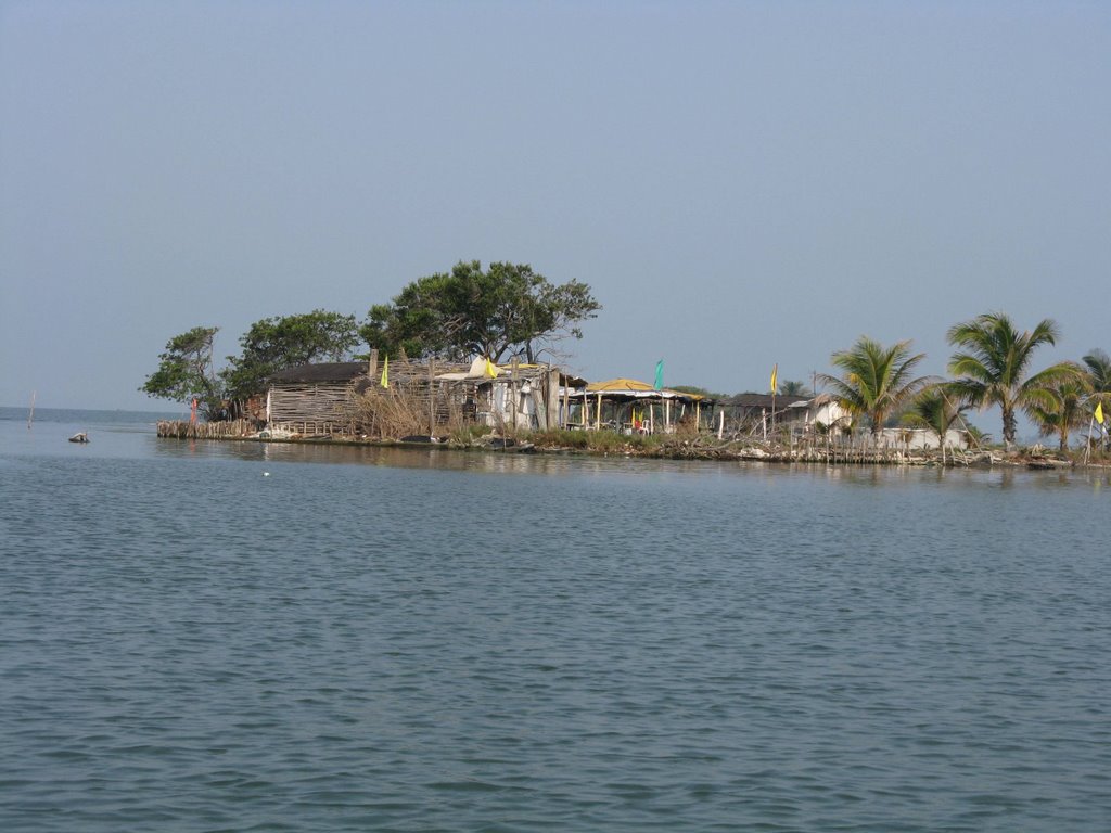 Isla en el Rio Papaloapan, Alvarado Ver.