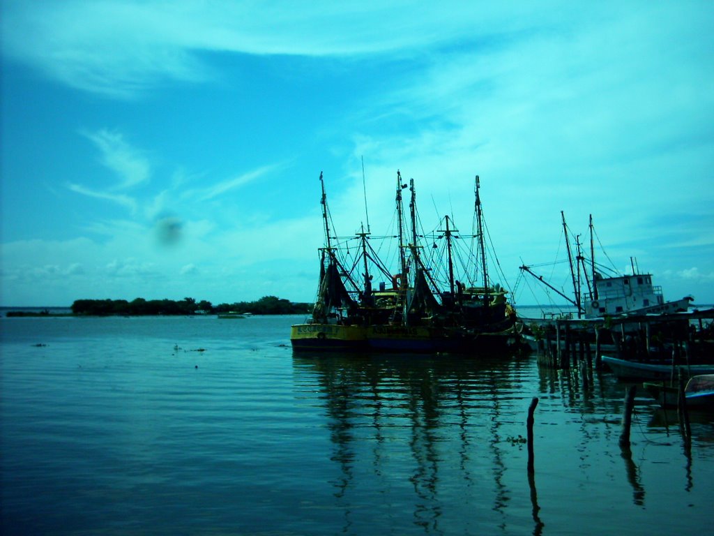 Alvarado, puerto, pesqueros