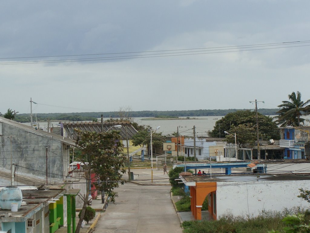 parque cruzando el puente