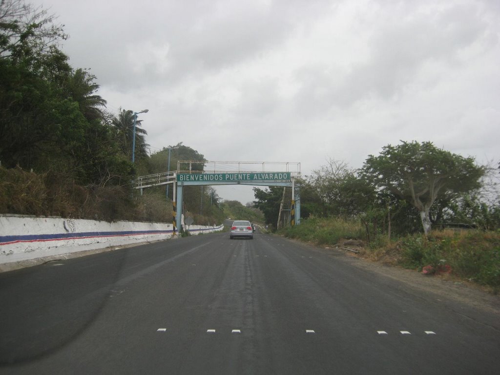 alvarado, veracruz
