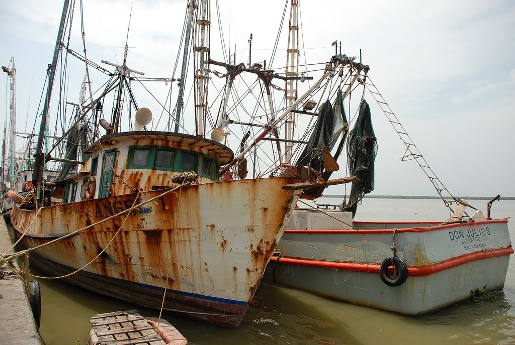 Alvarado veracruz-Barcos camaroneros.