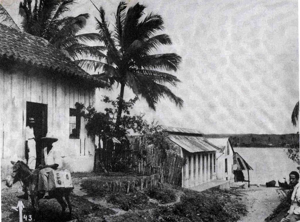Alvarado