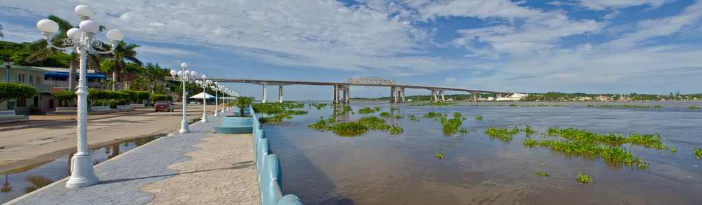 Puente Alvarado, Ver.