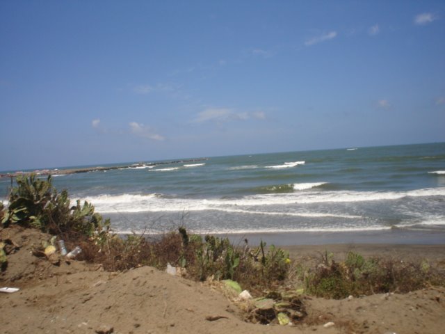 ALVARADO_BEACH