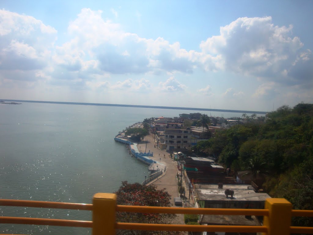 Vista del puerto desde el Puente de Alvarado