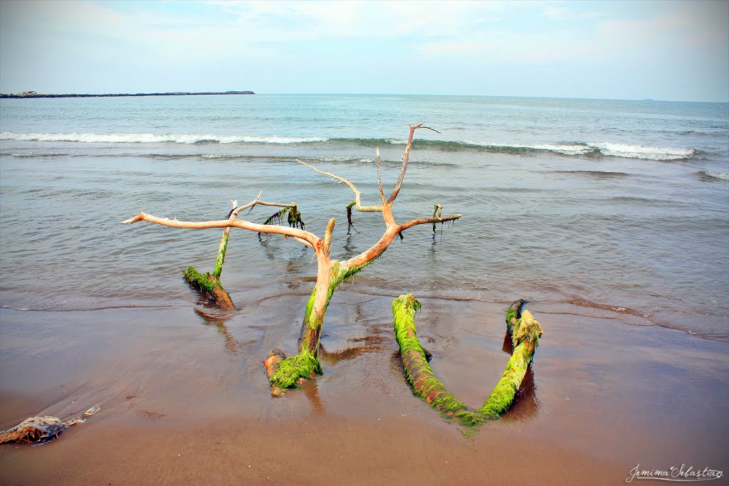 Playa de Alvarado, Veracruz