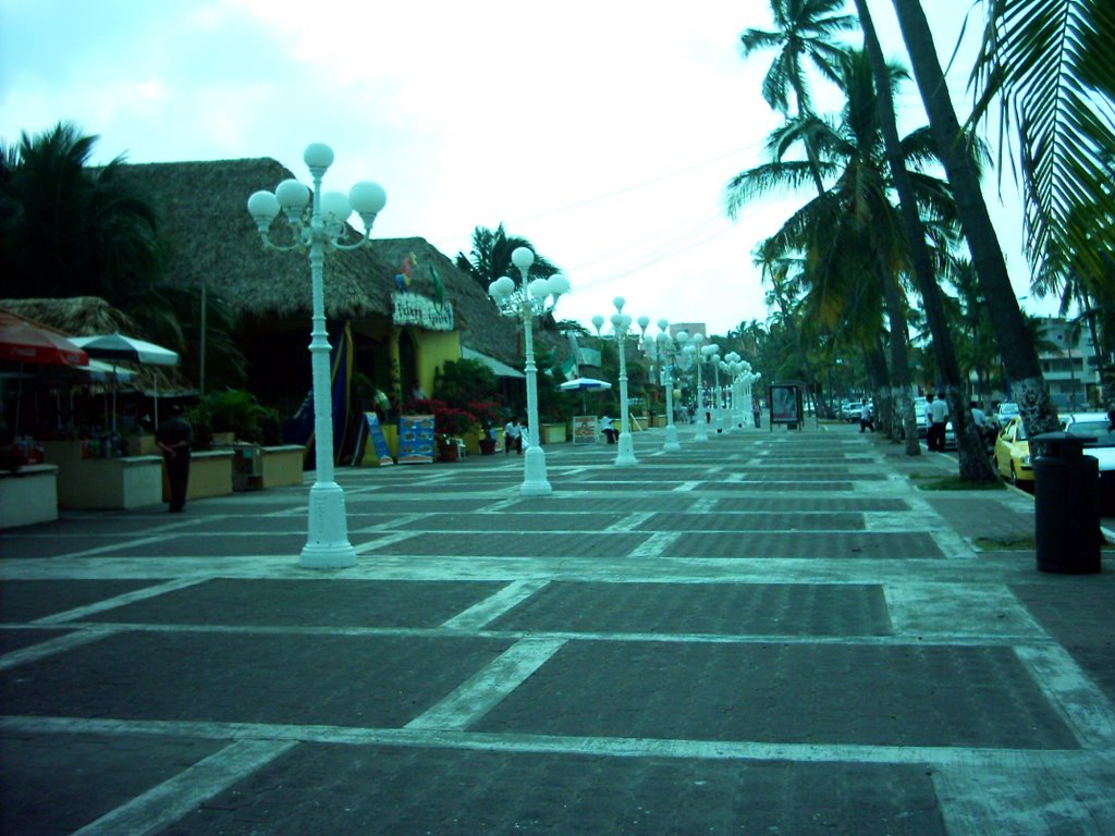 Zona Playera