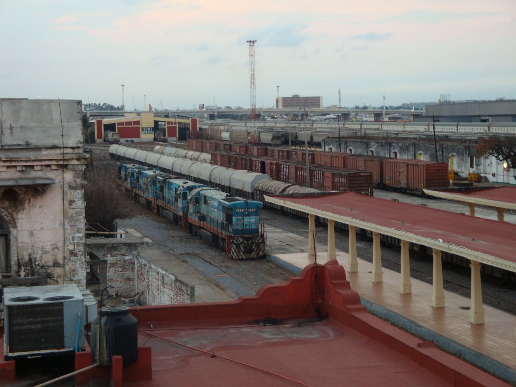 Trenes en Veracruz