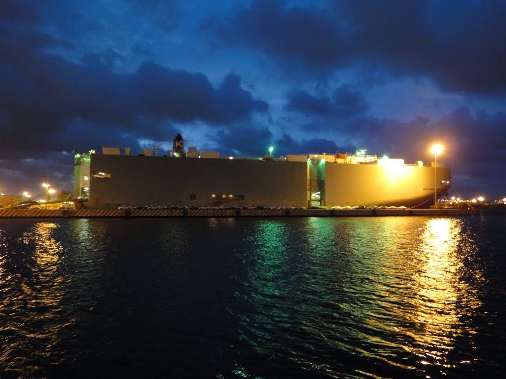 Barco cargero en el puerto de Veracruz, (nocturna)