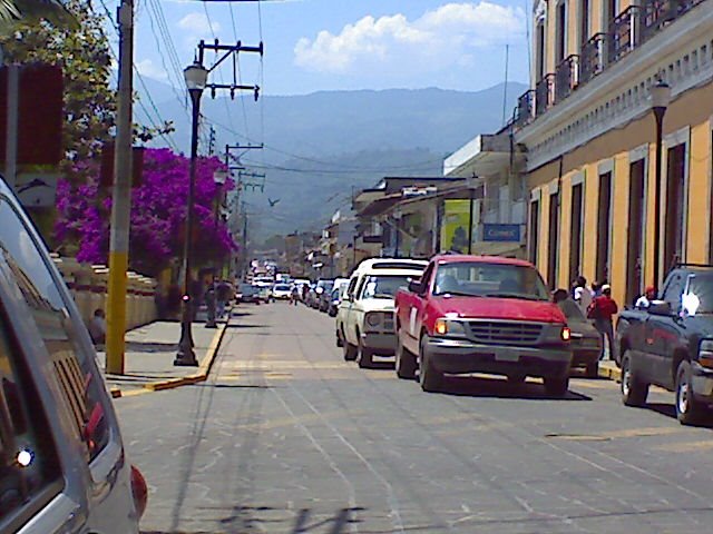 downtown coatepec