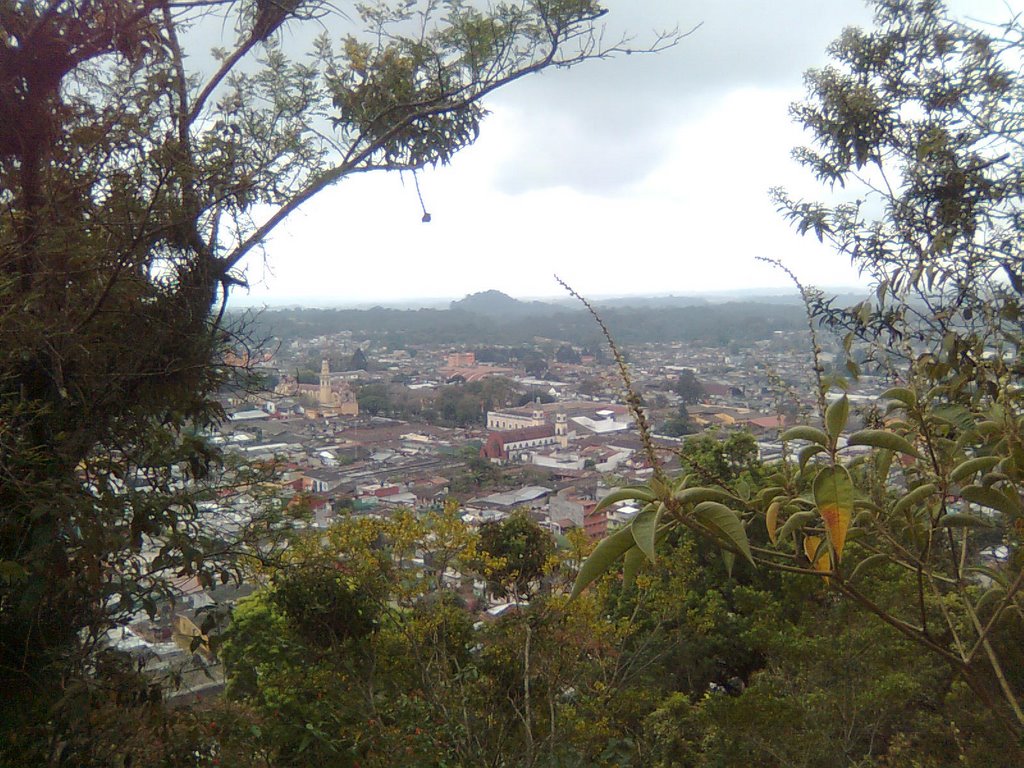 Coatepec