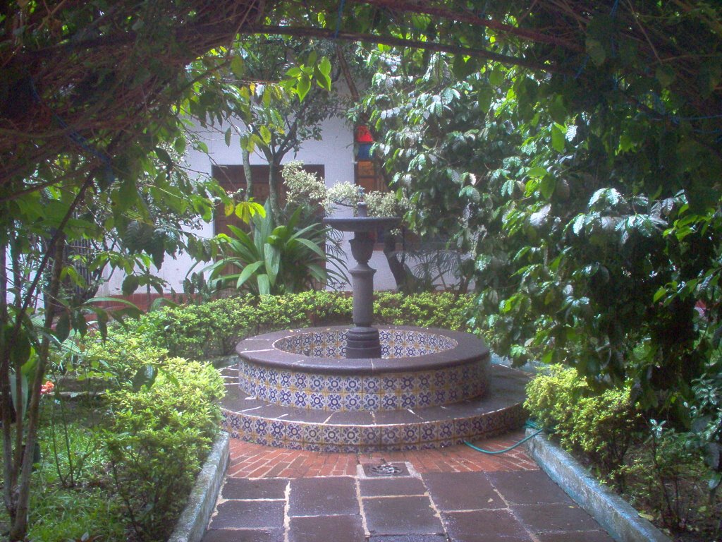 Fuente en Coatepec