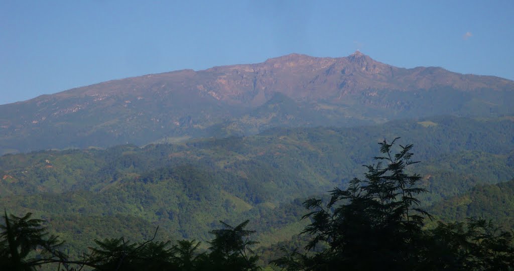Cofre de Perote desde cerro de las culebras