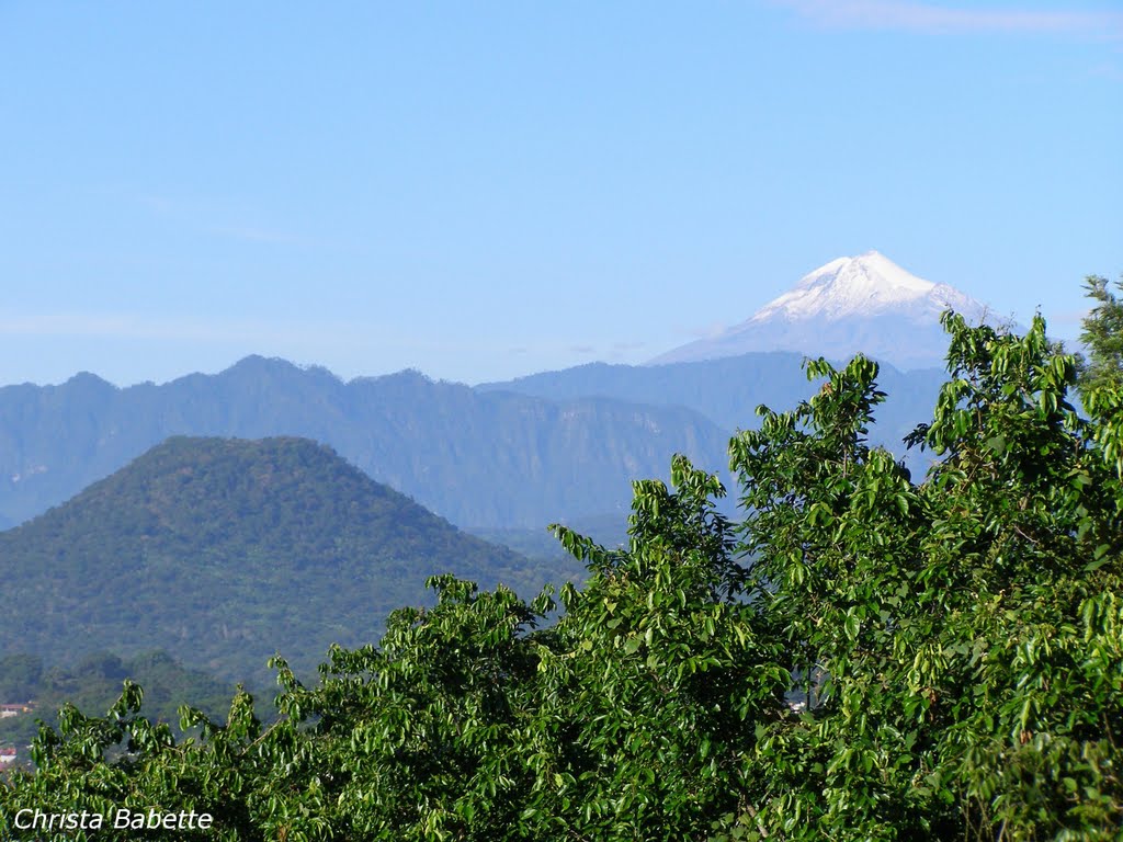 Panorama Veracruzano