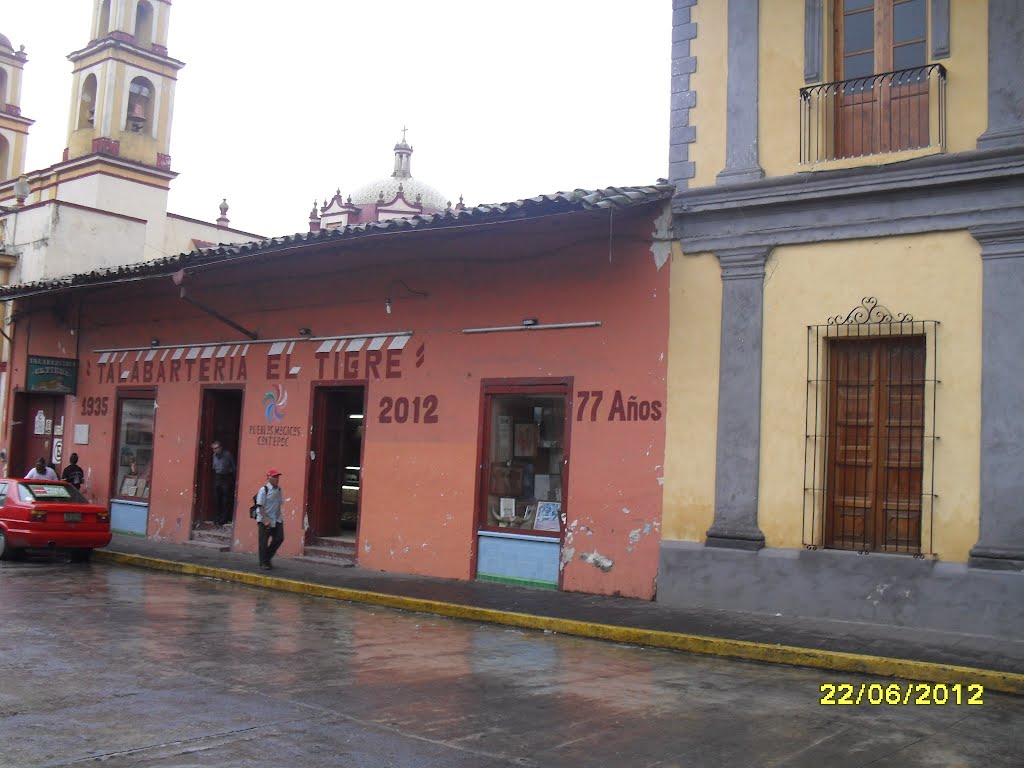 TALABARTERIA "EL TIGRE",COATEPEC VERACRUZ-MEXICO 2012
