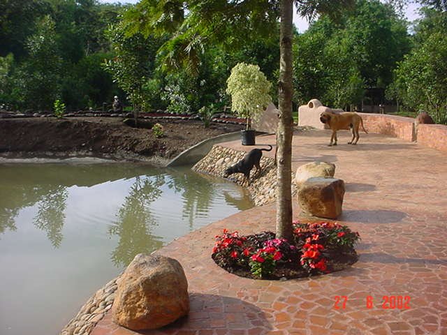 Lago Artificial