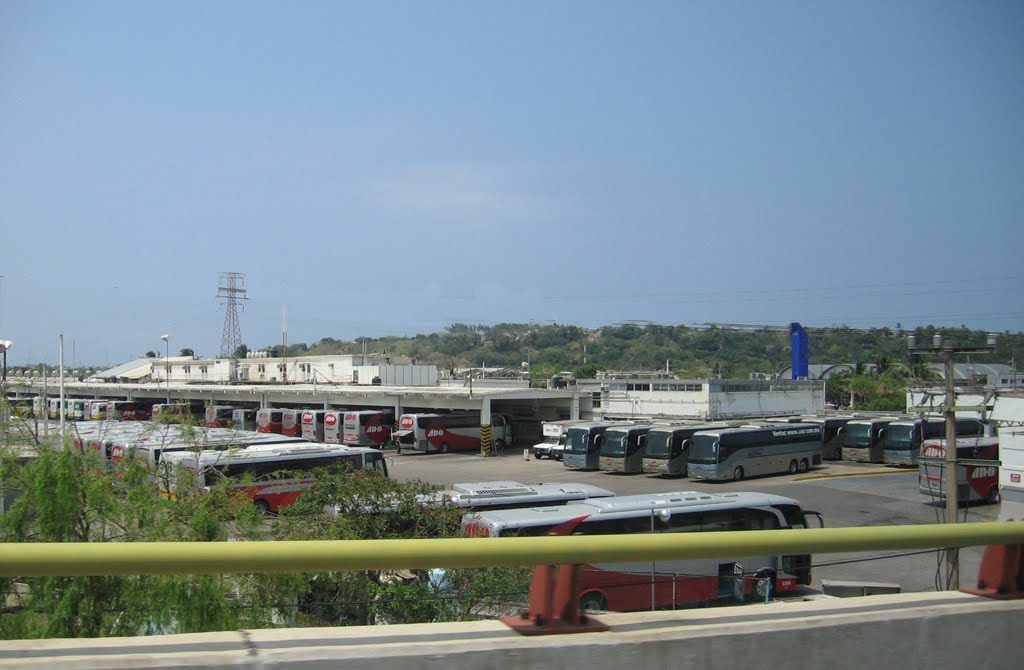 La terminal de ADO x la Transisimica