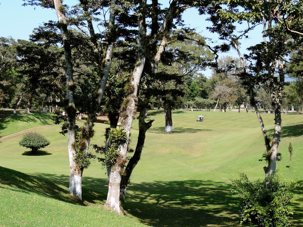 Campo
