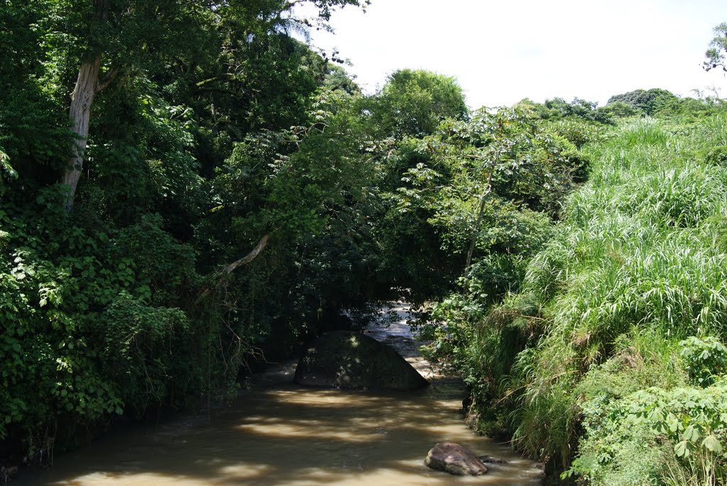 ROCA GRANDE EN SAN ANTONIO