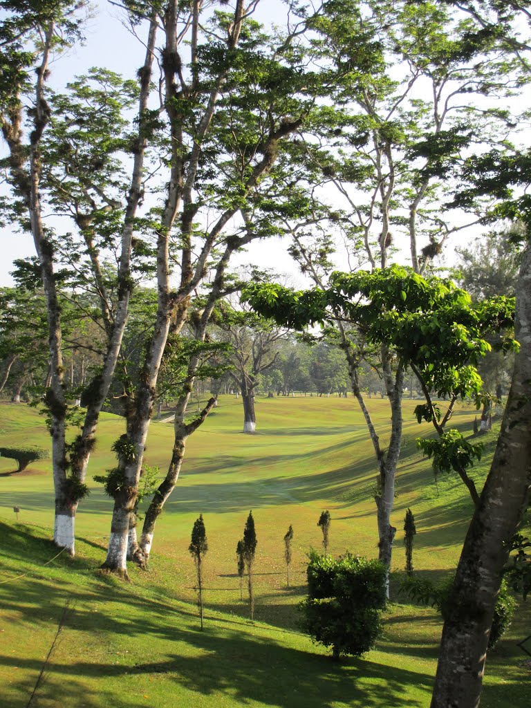 Campo de Golf