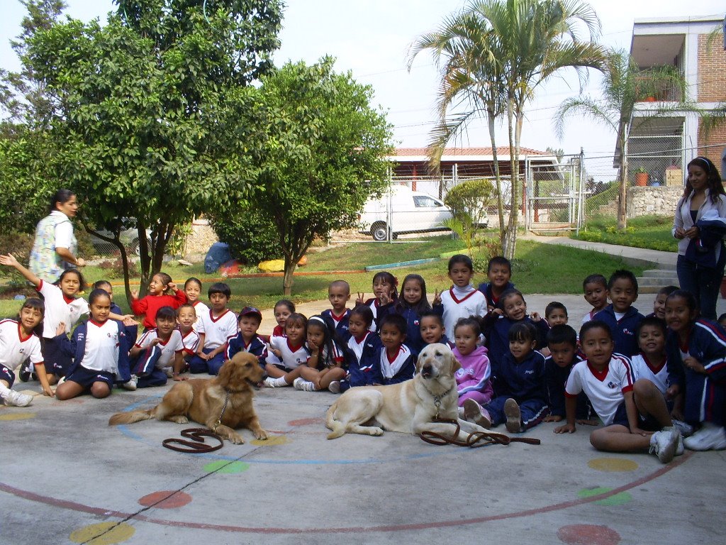 ADIESTRAMIENTO CANINO CORDOBES