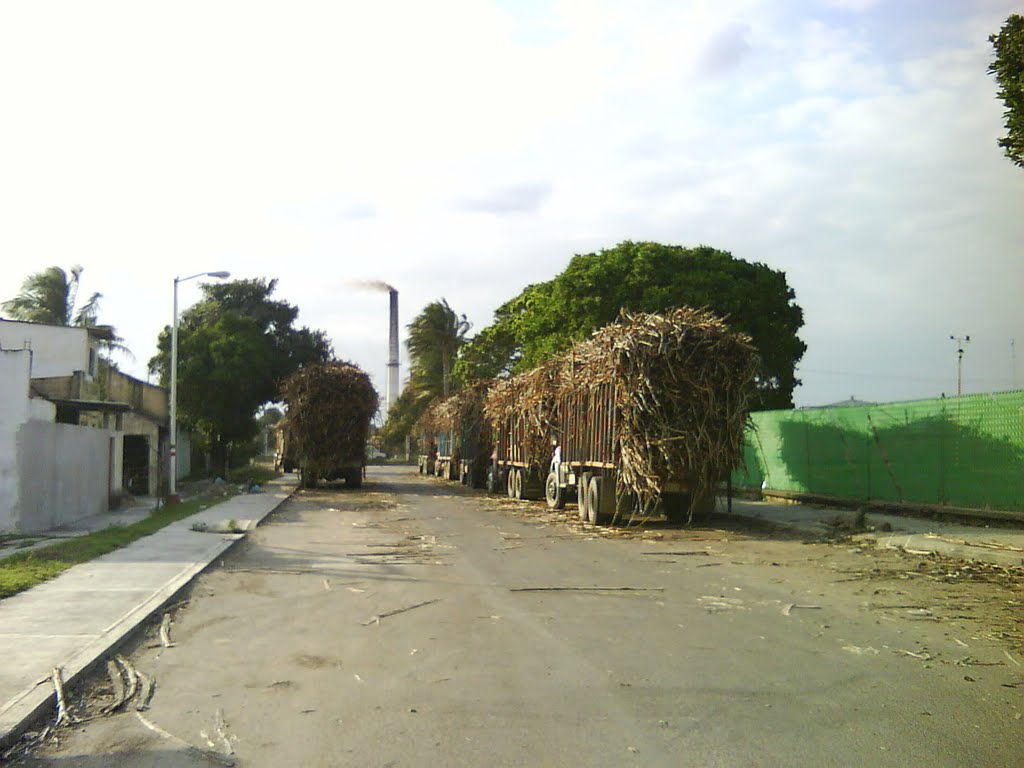 Carretas con Caña de Azucar Ingenio San Gabriel