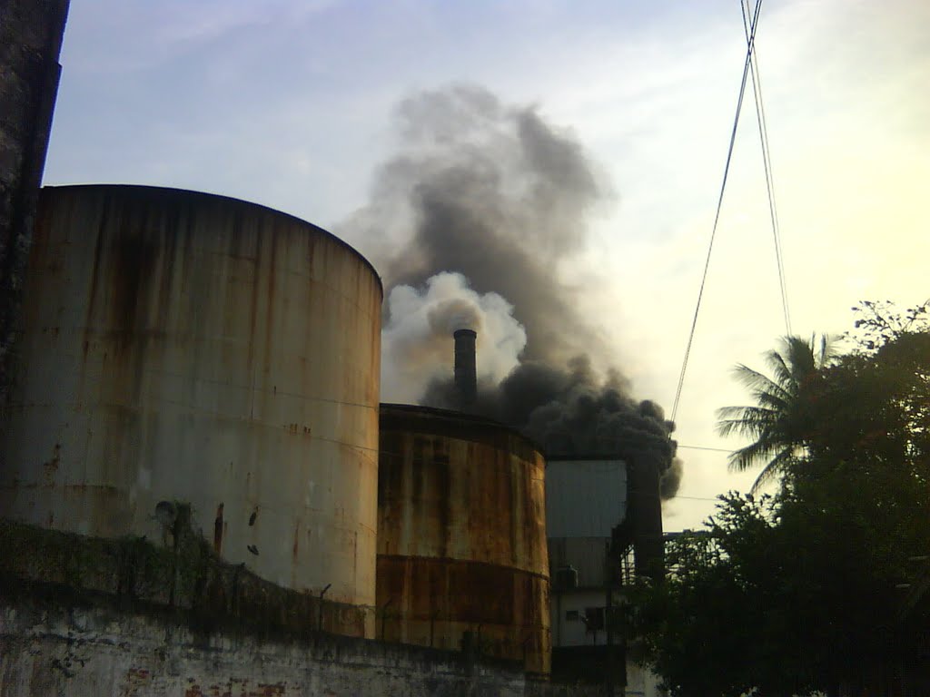Ingenio San Gabriel Cosamaloapan de Carpio, Ver.