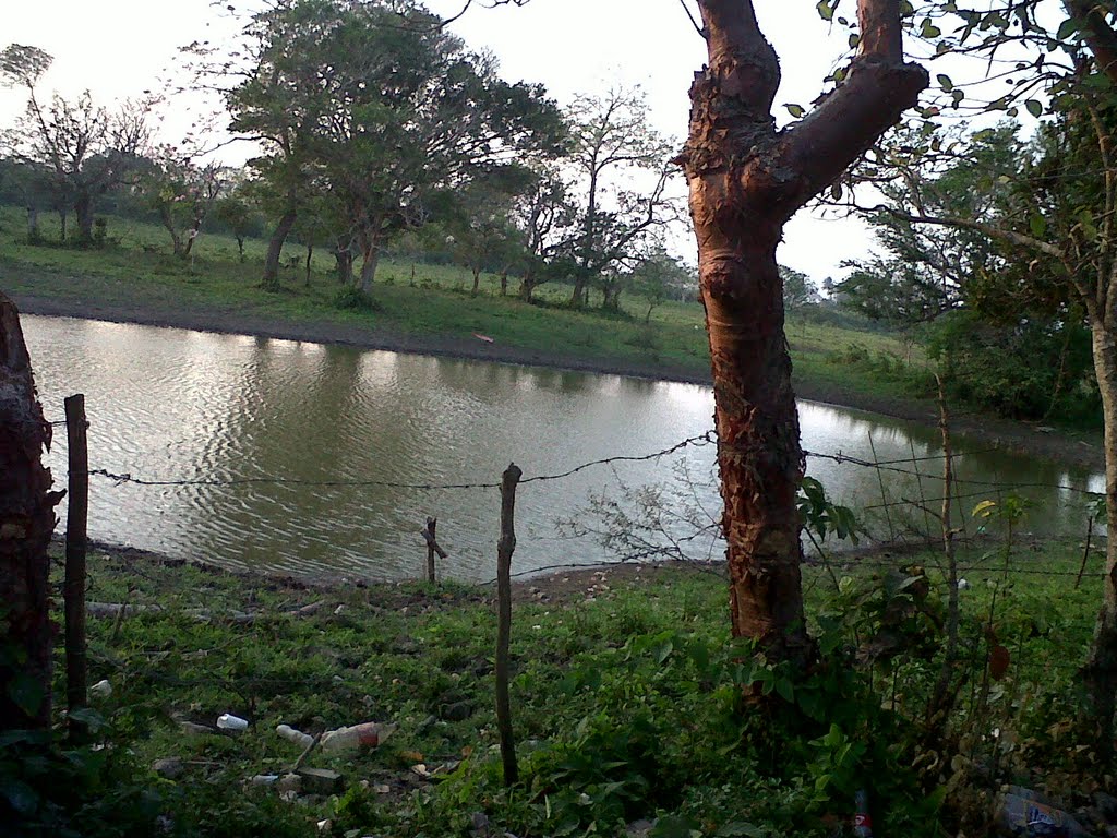 Un Pequeño Lago