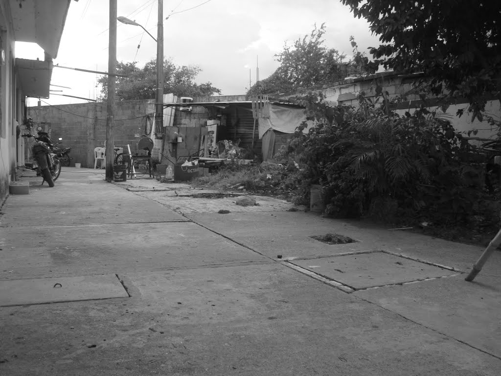 And. Octaviano Corro Col. Nora Quintana, Cosamaloapan