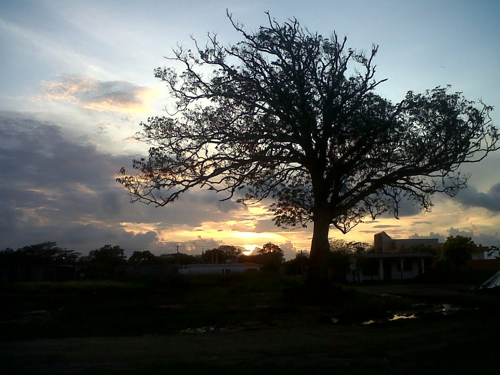 Un Crepúsculo