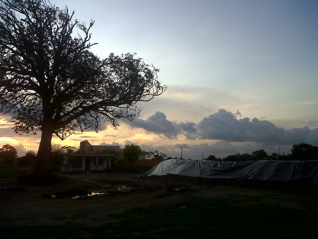 Crepúsculo