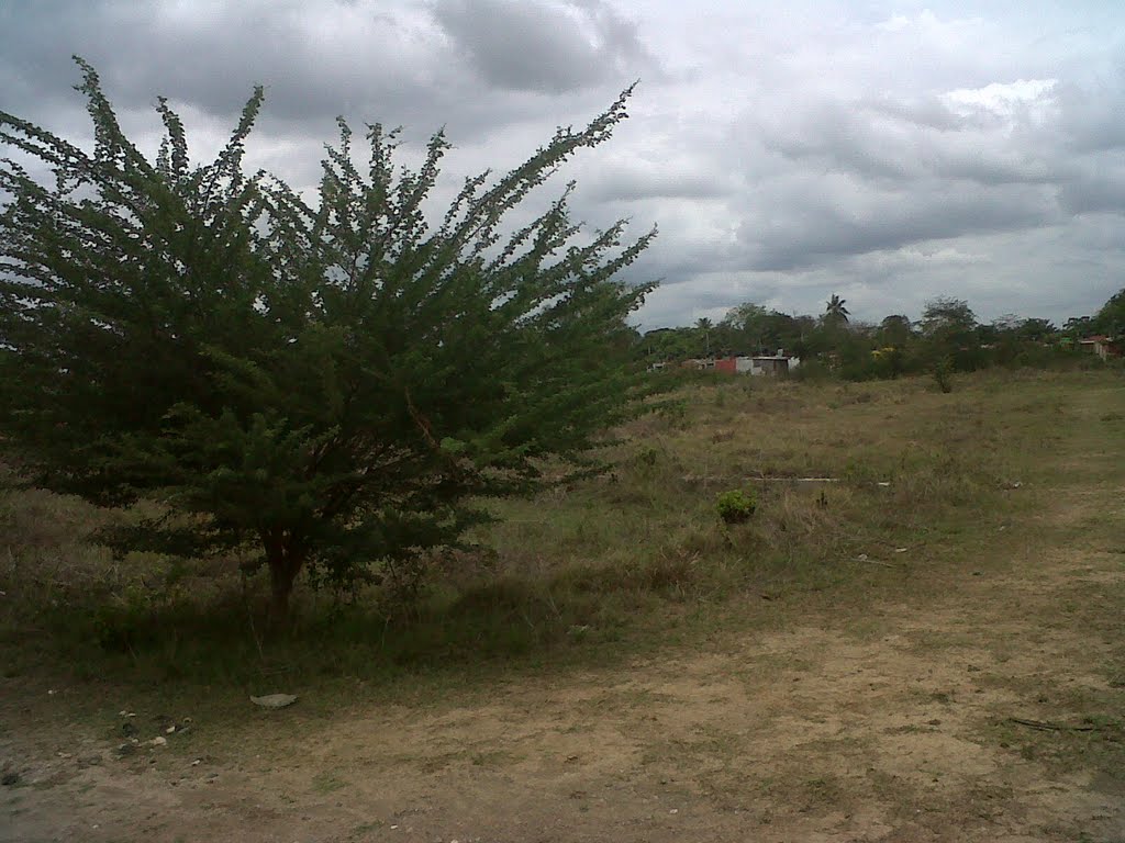 Paisaje Árido