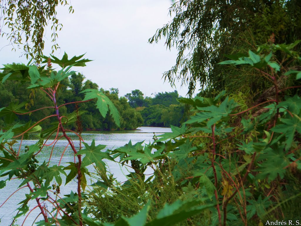 El Río de las Mariposas