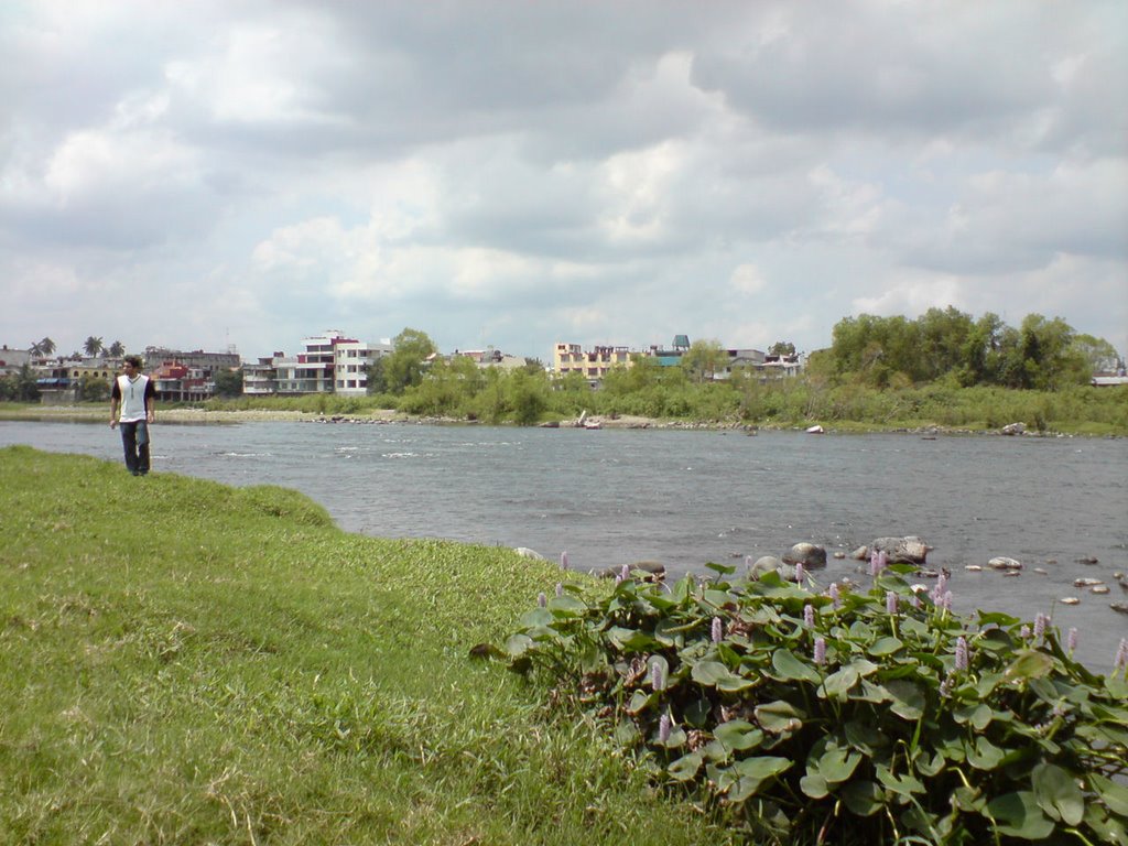 rivera del rio bobos y vegetacion