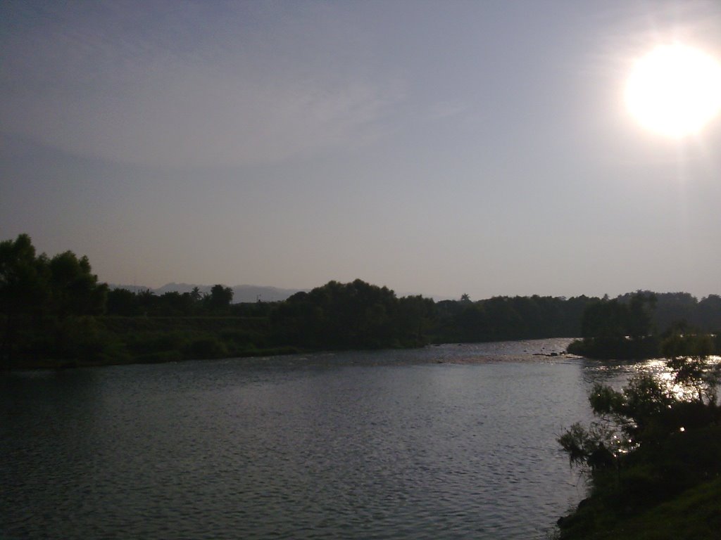 Sobre el Puente de Martinez