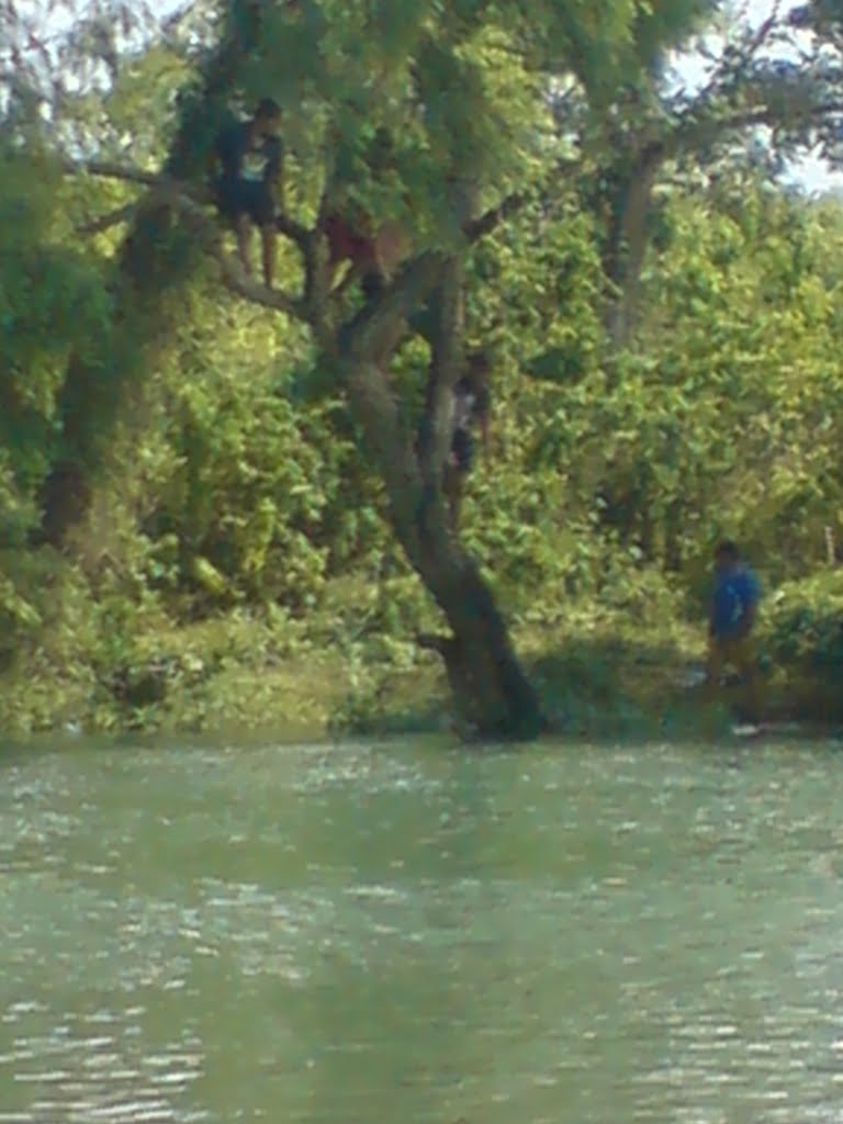 RIO BOBOS