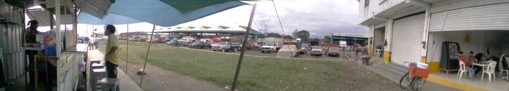 Plaza de naranja en Martinez.