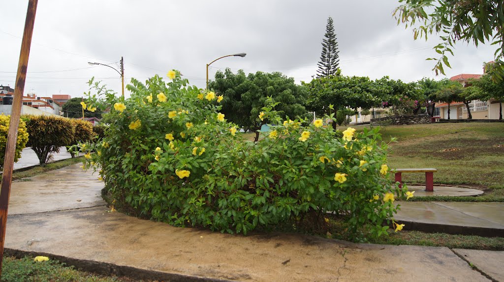Parque  En Coatzacoalcos y Rio Blanco, Martinez Ver.