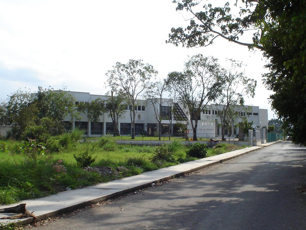 Universidad del Golfo de México